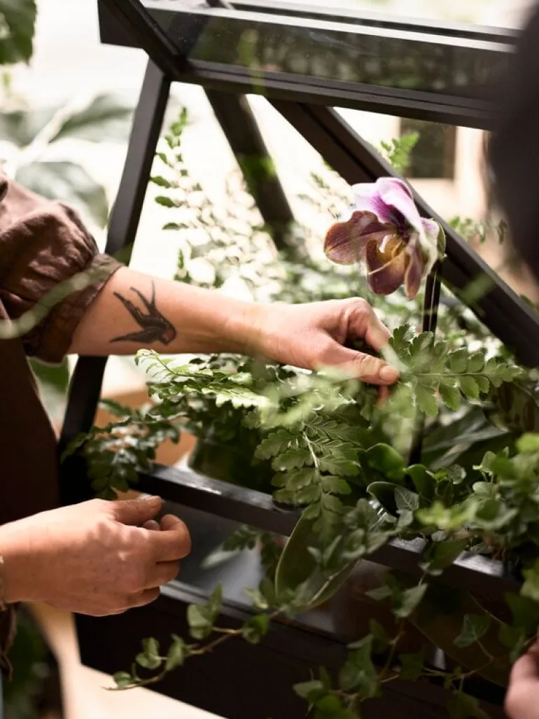 Design House Stockholm Växthus, ask