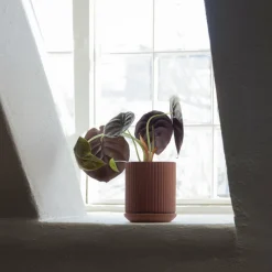 Elementa Klorofyll 150 blomkruka, terrakotta