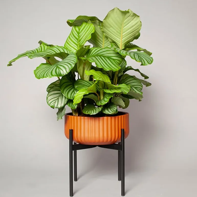 Elementa Klorofyll blomkruka med stativ, låg, terrakotta