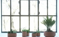 Elementa Klorofyll set med blomkrukor, terrakotta