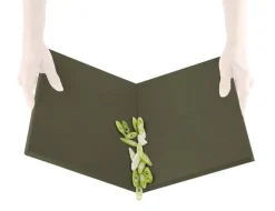 Eva Solo Green Tool DoubleUp skärbräda, grön