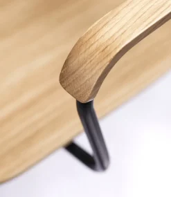 FDB Møbler J183 Holmen stol med armstöd, ekfaner