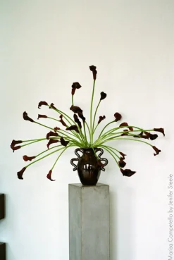 ferm LIVING Verso bordsvas, svart - brun