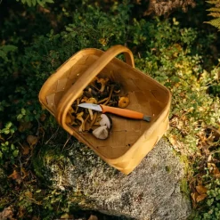 Fiskars Fiskars, svampkniv, 21 cm, orange