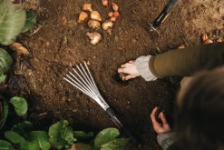 Fiskars Xact handluckrare