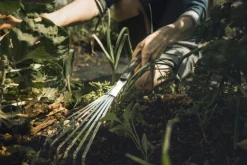 Fiskars Xact handräfsa