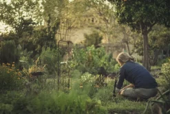 Fiskars Xact planteringsspade