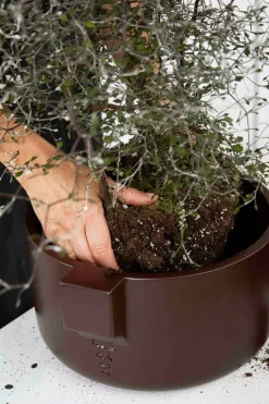 Fogia Ceramics kruka, brun