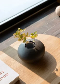 Fogia Koku soffbord, ovalt, lackad ek