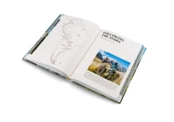 Gestalten Leaving the Comfort Zone