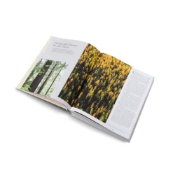 Gestalten Out of the Woods: Architecture and Interiors Built from Wood