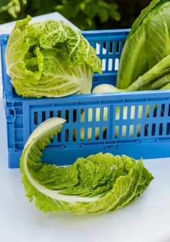 HAY Colour Crate, S, återvunnen plast, elektrisk blå