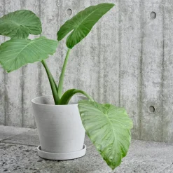 HAY Flowerpot kruka och fat, L, grå