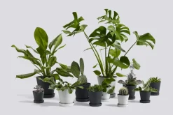 HAY Flowerpot kruka och fat, M, svart