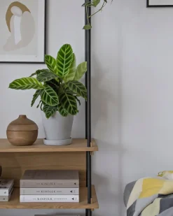 HAY Flowerpot kruka och fat, M, grå