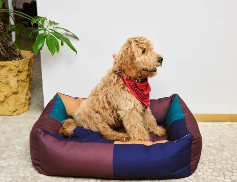 HAY HAY Dogs bädd, L, vinröd - grön