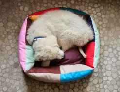 HAY HAY Dogs bädd, M, röd - blå