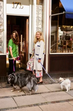 HAY HAY Dogs halsband, platt, S–M, blå - naturvit