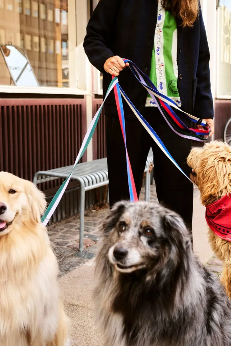 HAY HAY Dogs koppel, platt, M–L, blå - naturvit