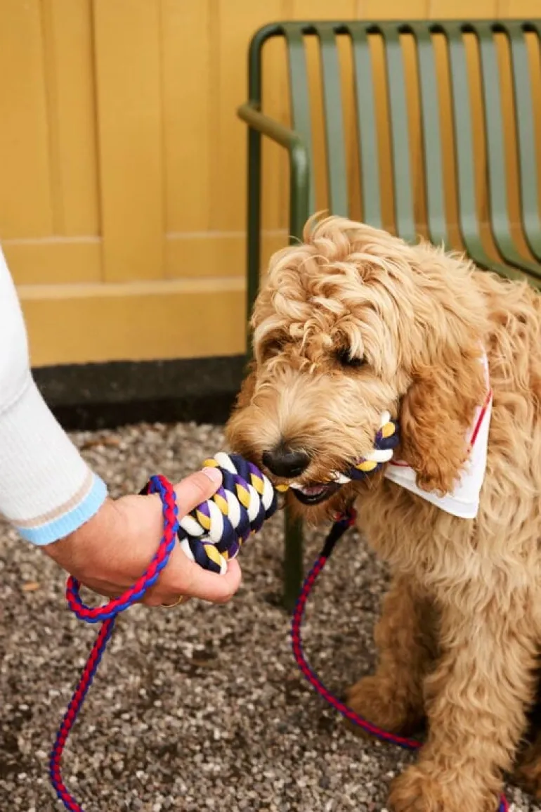 HAY HAY Dogs repleksak, blå - lila - ockra