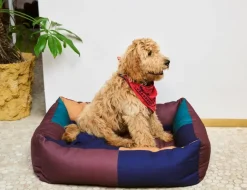 HAY HAY Dogs scarf, 55 x 55 cm, röd