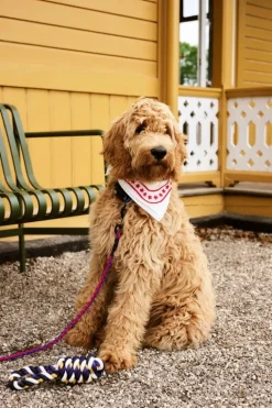 HAY HAY Dogs scarf, 55 x 55 cm, naturvit
