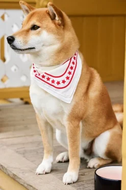 HAY HAY Dogs scarf, 55 x 55 cm, naturvit