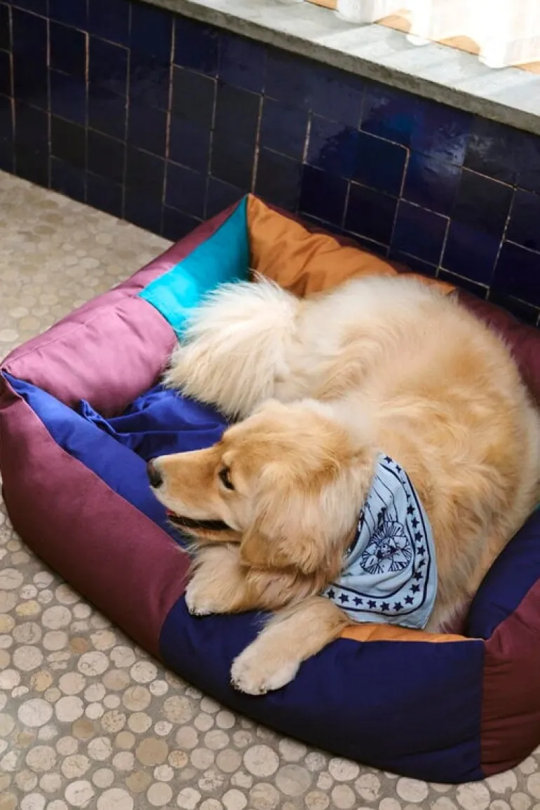 HAY HAY Dogs scarf, 55 x 55 cm, ljusblå