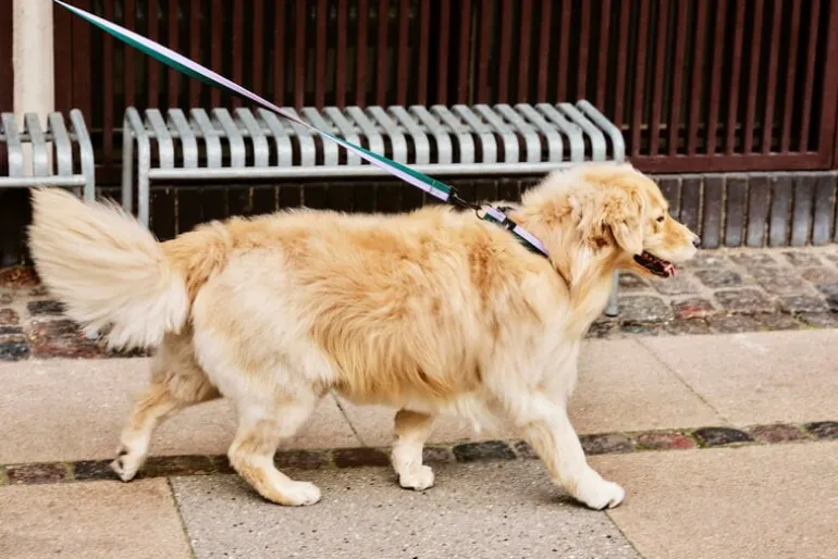 HAY Palissade bänk, varmgalvaniserad