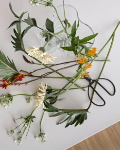 Iittala Aalto vas 160 mm, klar