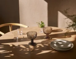 Iittala Kartio glas 21 cl, 2-pack, klar