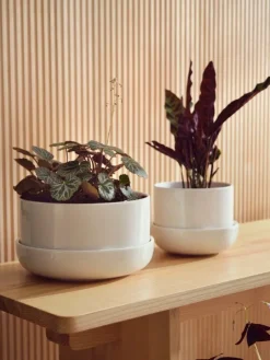 Iittala Nappula blomkruka med fat, 240 x 130 mm, vit