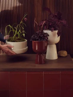 Iittala Nappula blomkruka med fat, 240 x 130 mm, beige