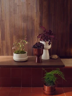 Iittala Nappula blomkruka, 400 x 245 mm, vit