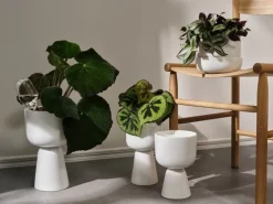 Iittala Nappula blomkruka 230 x 155 mm, vit