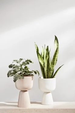 Iittala Nappula blomkruka 230 x 155 mm, vit