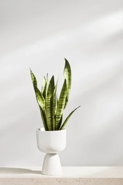 Iittala Nappula blomkruka 230 x 155 mm, vit