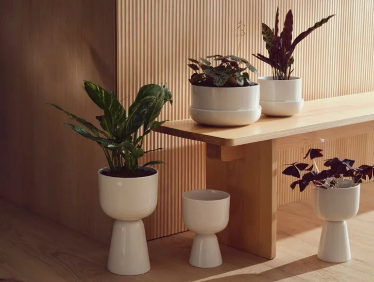 Iittala Nappula blomkruka med fat 170 x 130 mm, vit