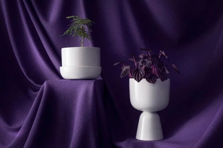 Iittala Nappula blomkruka med fat 170 x 130 mm, vit