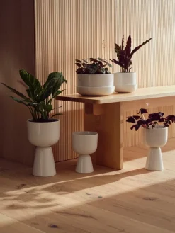 Iittala Nappula blomkruka med fat 170 x 130 mm, vit