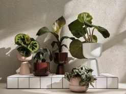 Iittala Nappula blomkruka 260 x 155 mm, beige