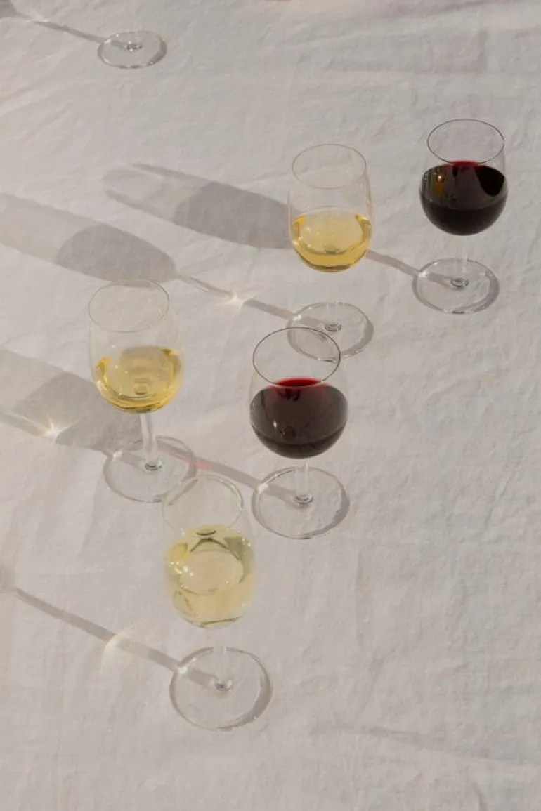 Iittala Raami vitvinsglas, 2-pack
