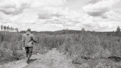 Kehrer Verlag Jaakko Kahilaniemi: 100 Hektar av Förståelse