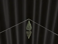 Kehrer Verlag Jaakko Kahilaniemi: 100 Hektar av Förståelse