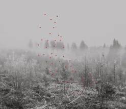 Kehrer Verlag Jaakko Kahilaniemi: 100 Hektar av Förståelse