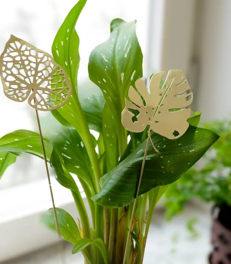 Klong Brass Leaves Water stöd för prydnadsväxter, 2 st