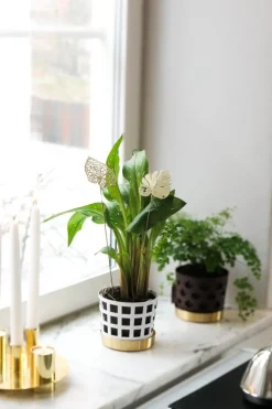 Klong Brass Leaves Water stöd för prydnadsväxter, 2 st