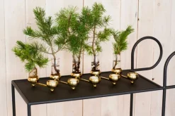 Klong Constella ljushållare, mässing