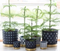 Klong Trio blomkruka, blue drop