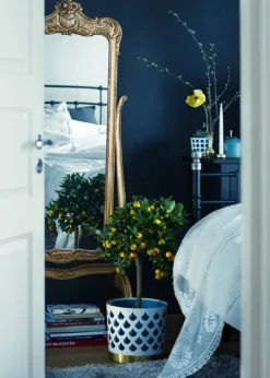 Klong Trio blomkruka, white drop